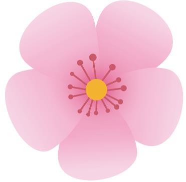 昆明寶島醫(yī)院是公立的嗎 用心服務(wù)平價(jià)放心
