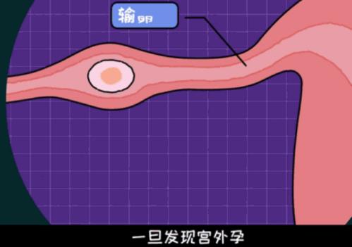 昆明寶島婦產醫(yī)院平價嗎 正規(guī)放心低價好醫(yī)院