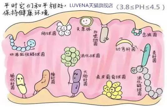 LUVENA-每天清洗私處還會癢?因為最好的細菌被洗沒了 !