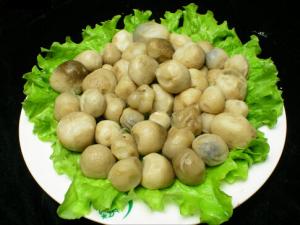 草菇怎么做營養(yǎng)好吃？草菇的做法