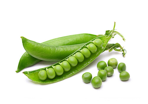 豌豆的營養(yǎng)價值-豌豆的做法