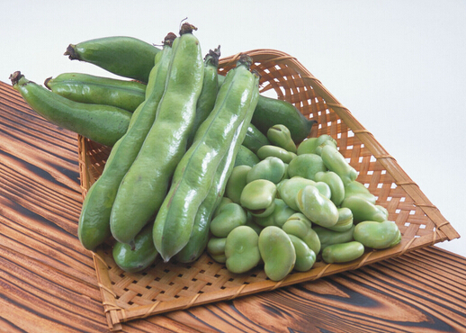 蠶豆的做法-蠶豆的營養(yǎng)價(jià)值