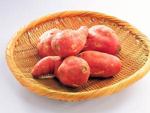 紅薯發(fā)芽了還能吃嗎？紅薯的營(yíng)養(yǎng)價(jià)值