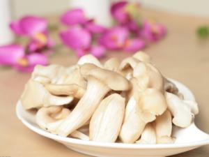 平菇的適宜人群與營養(yǎng)-平菇怎么做好吃？