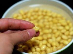 發(fā)芽豆還可以用嗎？發(fā)芽豆打豆?jié){更鮮美