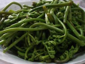 蕨菜怎么做好吃？蕨菜的做法大全