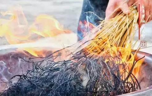 端午節(jié)粽子葉用什么葉子?原來(lái)這么多葉子都可以包粽子