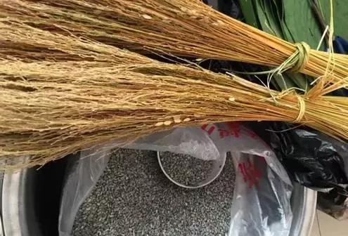 端午節(jié)粽子葉用什么葉子?原來(lái)這么多葉子都可以包粽子