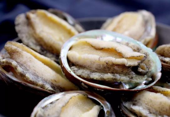 鮑魚發(fā)霉點(diǎn)了怎么處理?做鮑魚粥什么時(shí)間放鮑魚最好?