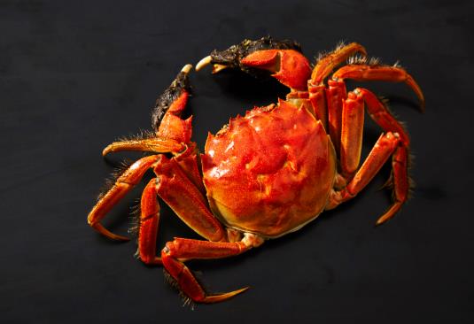 大閘蟹綁著會(huì)死得更快嗎?大閘蟹如何清洗內(nèi)部?