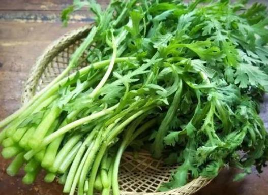 茼蒿可以長(zhǎng)期吃嗎?炒茼蒿不焯水行嗎