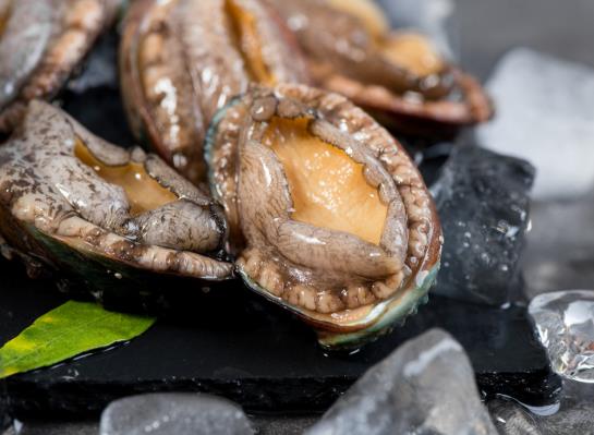 鮑魚粥需要炒下鮑魚嗎?冷凍鮑魚的保質(zhì)期是多久