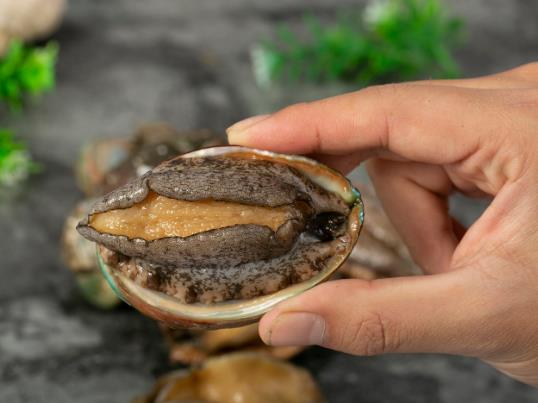 鮑魚粥需要炒下鮑魚嗎?冷凍鮑魚的保質(zhì)期是多久