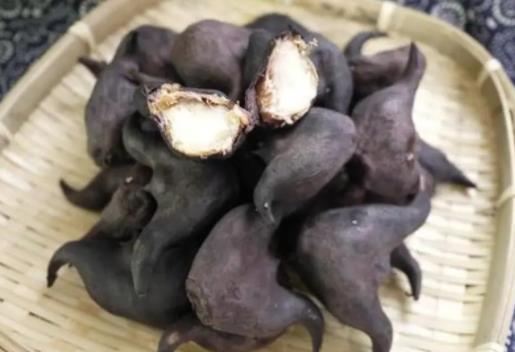 菱角怎么剝開(kāi)吃?煮菱角的時(shí)候要放鹽嗎