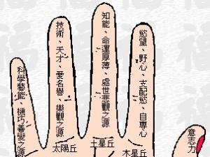 如何看手相？手相算命圖解-看手相算命圖解