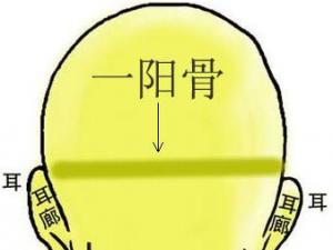 骨相圖解：一陽(yáng)骨