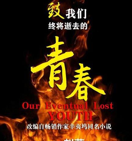 《致我們終將逝去的青春》經(jīng)典臺詞語錄
