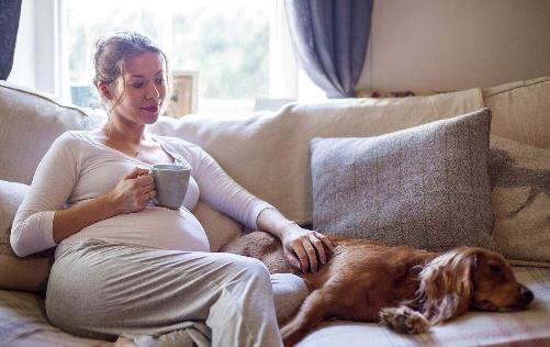 孕婦可以跑步嗎?孕婦做什么運(yùn)動才好