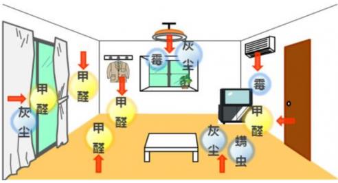 3個月不到寶寶胎停,兇手可能是室內(nèi)空氣環(huán)境
