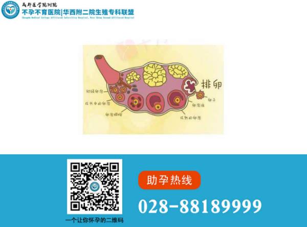 成都醫(yī)學附屬不孕不育醫(yī)院好嗎 高育齡女性生育力逐年下降!