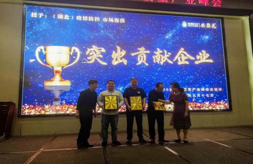 2020武漢孕嬰童產(chǎn)業(yè)峰會舉行,賽威瑪被授予“突出貢獻(xiàn)企業(yè)”獎