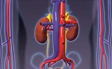 腎病綜合癥可以生孩子嗎?腎病綜合癥患者懷孕要點