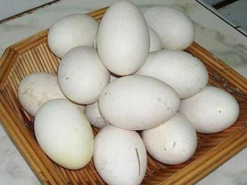 鵝蛋能去胎毒是真的嗎?懷孕什么時(shí)候吃鵝蛋最好