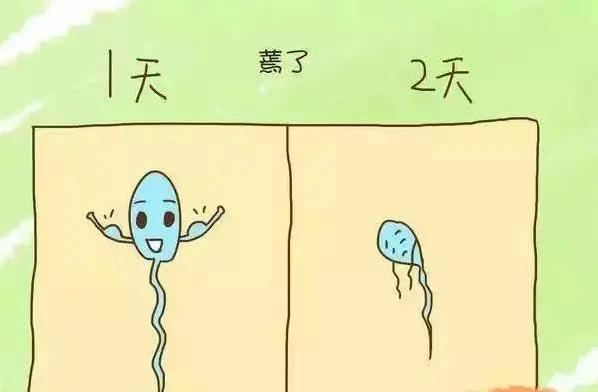 武漢仁愛醫(yī)院婦產(chǎn)科:巨現(xiàn)實!每8對夫妻就有1對不孕不育,懷孕居然憑運氣?