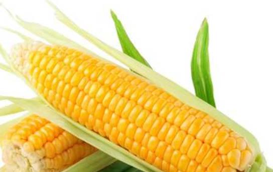 夏季養(yǎng)生更需要選擇好的蔬菜和水果 好蔬果別錯(cuò)過