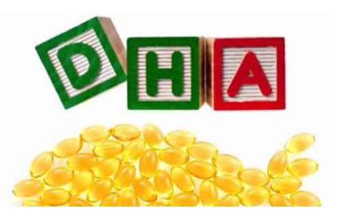 孕婦怎么補(bǔ)dha 孕婦什么時(shí)候補(bǔ)dha