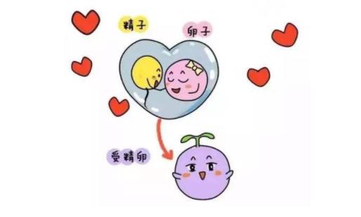 分享受精的奇妙感受 做幸福的準(zhǔn)媽媽