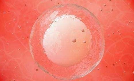 分享受精的奇妙感受 做幸福的準(zhǔn)媽媽
