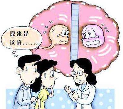武漢送子鳥醫(yī)院網(wǎng)友評(píng)價(jià) 孕育基地開啟幸“孕”之門