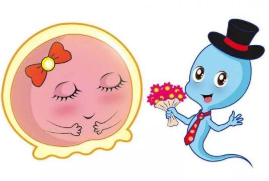 武漢送子鳥(niǎo)醫(yī)院看病哪家好 創(chuàng)造新生并非奇跡