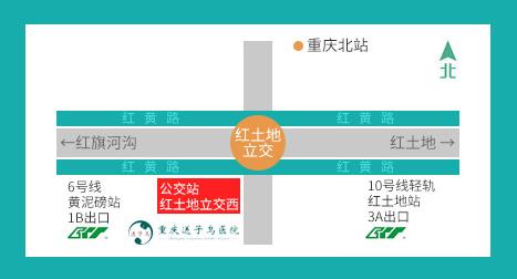 重慶不孕問送子鳥遇見幸孕,讓孕育之路暢通無阻