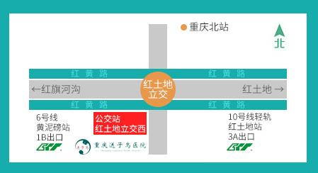 重慶黃泥磅送子鳥醫(yī)院:科學施治,喜孕相連