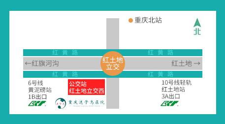 重慶送子鳥醫(yī)院醫(yī)生 醫(yī)德高尚,仁心仁術(shù)