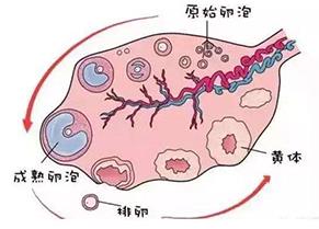 重慶送子鳥(niǎo)醫(yī)院的評(píng)論:貼心、細(xì)心、耐心,細(xì)節(jié)獲好評(píng)