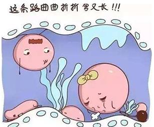 重慶送子鳥關(guān)懷健康行,孕路援助暖心間