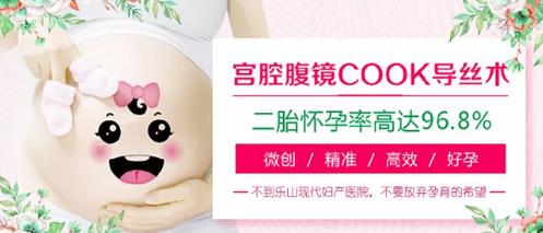 樂山現(xiàn)代婦產(chǎn)醫(yī)院環(huán)境好嗎 水平強大專業(yè)實力優(yōu)秀