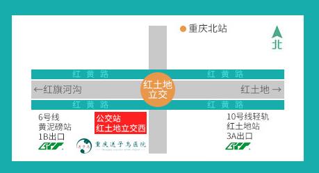 重慶送子鳥收費標(biāo)準(zhǔn) 誠信醫(yī)療,就診便捷