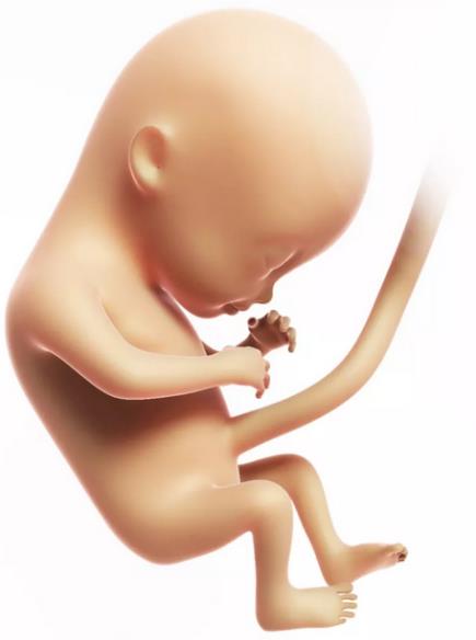 六安百佳醫(yī)院口碑怎樣 健康服務(wù)惠及千家萬戶