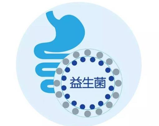 不滿月的寶寶可以吃益生菌嗎?寶寶益生菌在什么時候吃比較好?