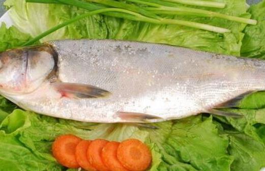 魚肉質(zhì)鮮嫩種類多吃法也多 孕婦吃魚好處多