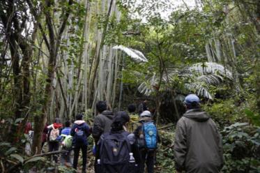 凡益之道秘境弄崗生態(tài)研學之旅圓滿結束