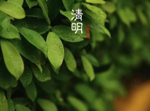 清明節(jié)應(yīng)不應(yīng)該回家掃墓?清明節(jié)哪天可以開始上墳