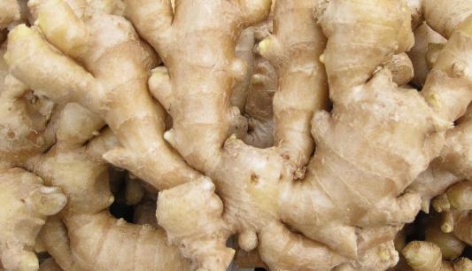 生姜的種植時(shí)間是什么時(shí)候 生姜的最佳種植時(shí)間
