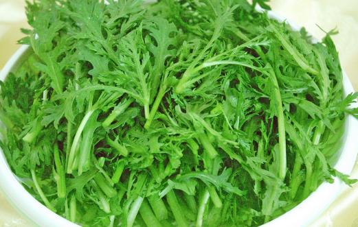 茼蒿的種植時(shí)間 茼蒿什么季節(jié)能種植