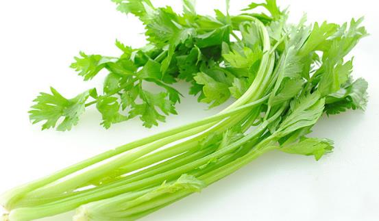 芹菜種植時(shí)間是什么時(shí)候?芹菜最佳種植時(shí)間