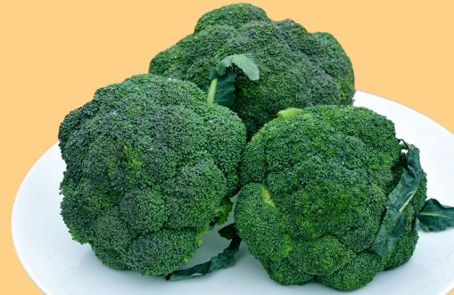 西蘭花種植時(shí)間是什么時(shí)候?西蘭花最佳種植時(shí)間